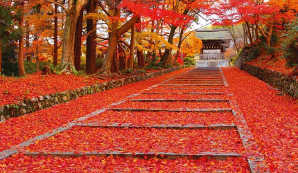 PicZip q85 (10:50:10 15.06.2017 0%  PROGRESSIVE  119215>>>119215)