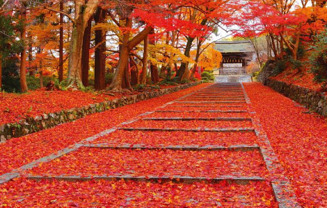 PicZip q85 (10:50:10 15.06.2017 0%  PROGRESSIVE  119215>>>119215)
