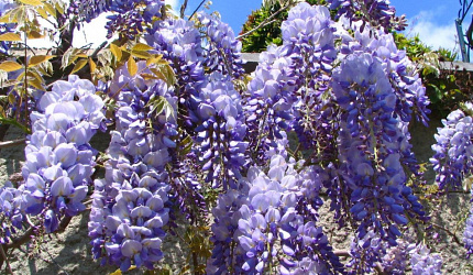 PicZip q85 (08:38:06 06.09.2017 0%  PROGRESSIVE  276314>>>276314)