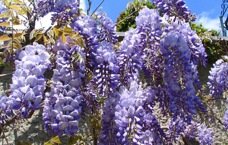 PicZip q85 (08:38:06 06.09.2017 0%  PROGRESSIVE  276314>>>276314)